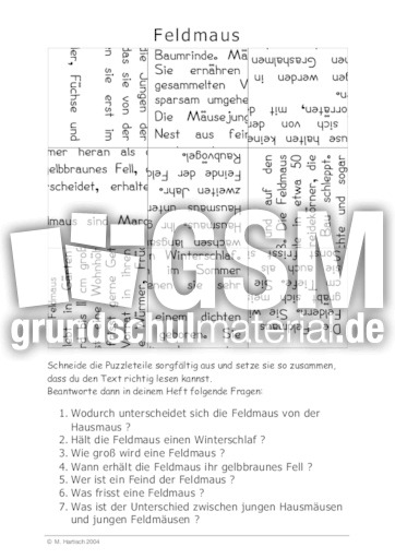 Feldmaus.pdf